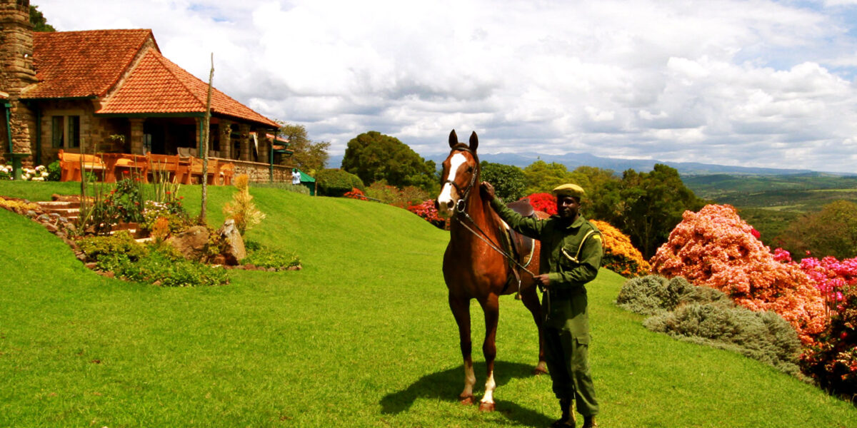 The Most Majestic Lodges For Spotting Wildlife In Aberdare National