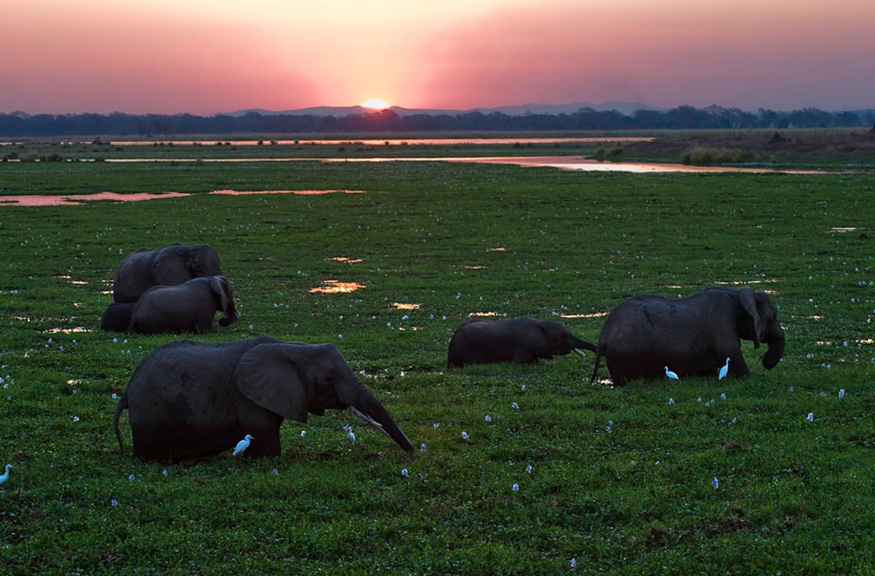 Best Time To Visit Zimbabwe Discover Africa Safaris