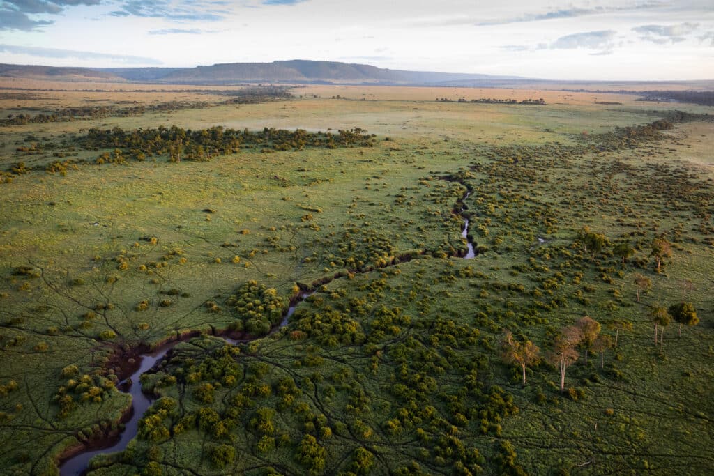 An aerial view of the Maasai Mara in Kenya.