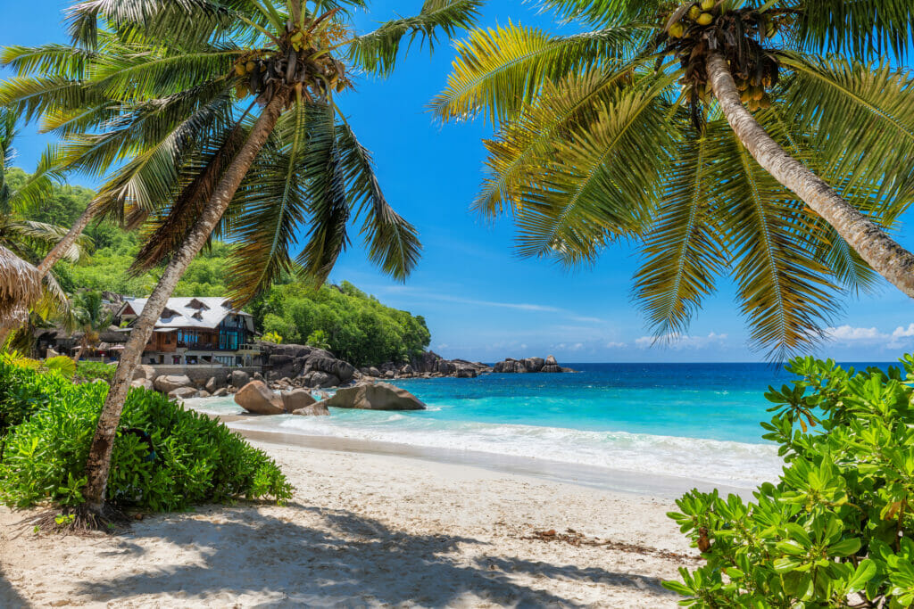 Tropical beach in Zanzibar.