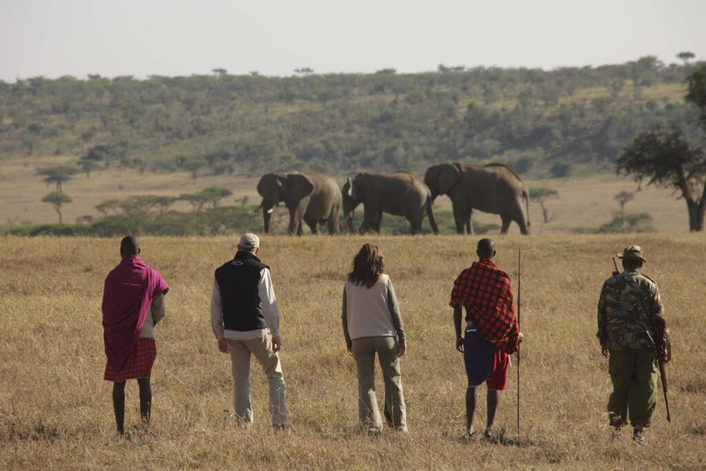 Walking safari in Kenya | Photo credits: Kicheche Valley Camp