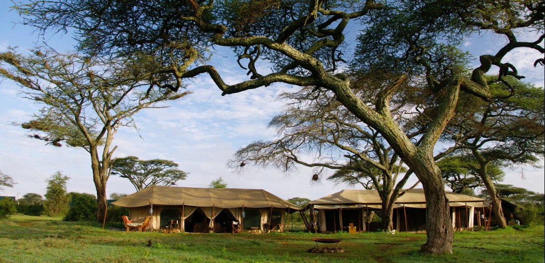 Festive Season in the Serengeti - Ania and Thomas’s Tanzania safari