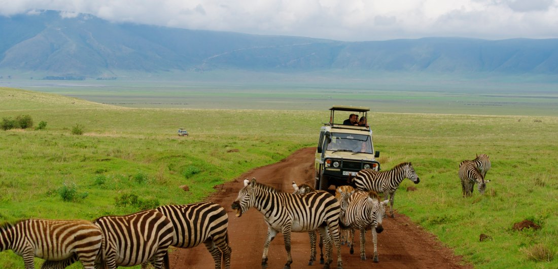 Festive Season in the Serengeti - Ania and Thomas’s Tanzania safari