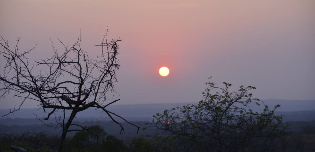 Addicted to Africa - Marg and Dick Guit’s South Africa and Botswana safari