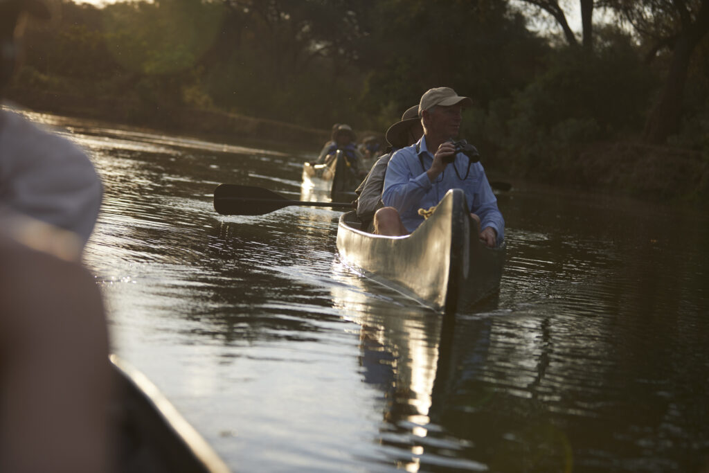 Tourists canoeing on safari, Zambezi, Zambia