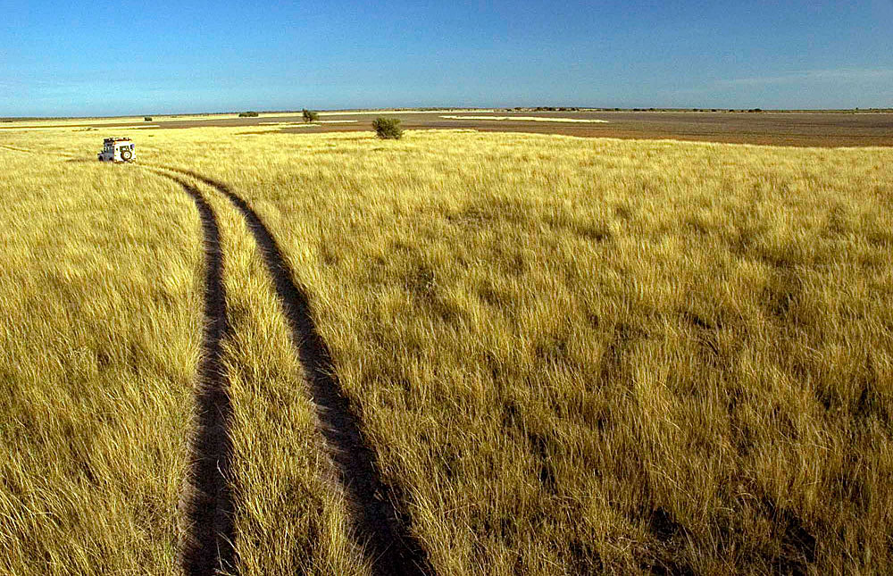 The vast plains of Central Kalahari Game Reserve, Botswana.