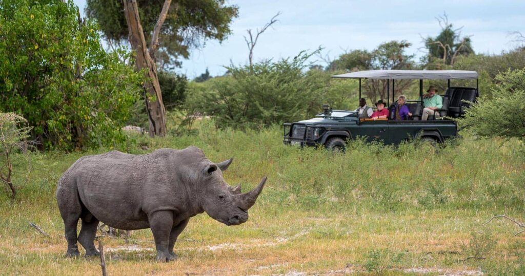 Moremi Game Reserve Game Drive