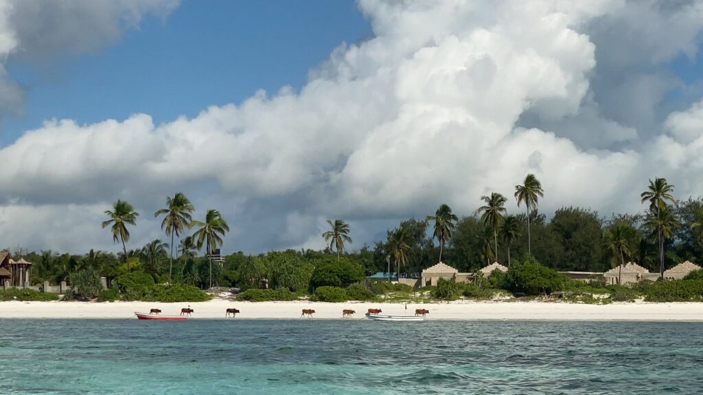 Blue Bay Beach front view | Photo credit: Blue Bay Beach Resort and Spa