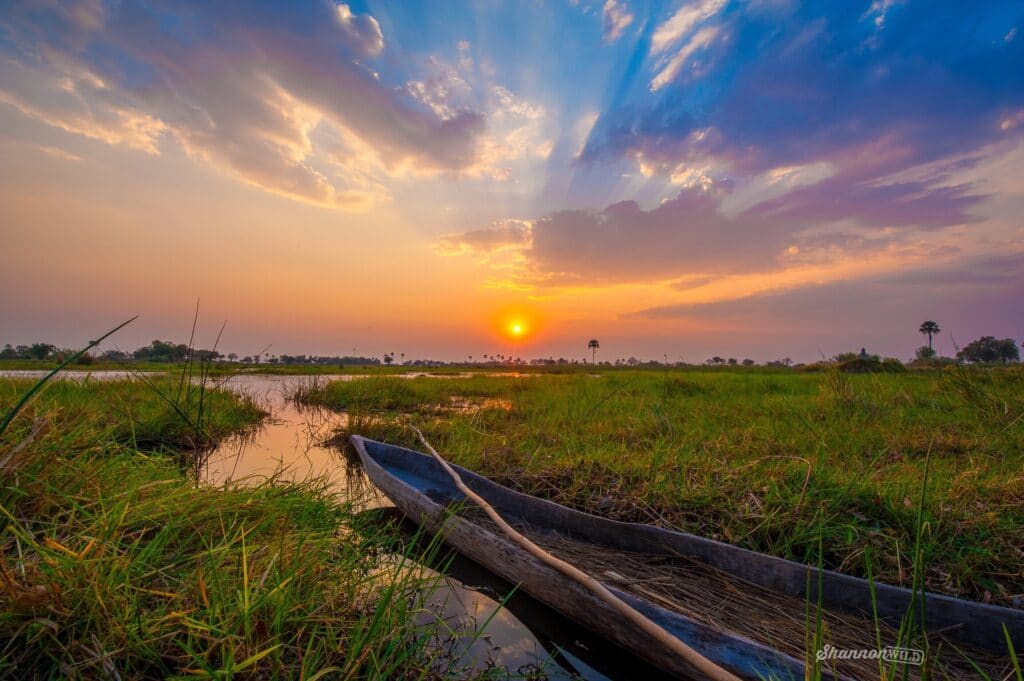 Southern Africa’s best photographic safari destinations