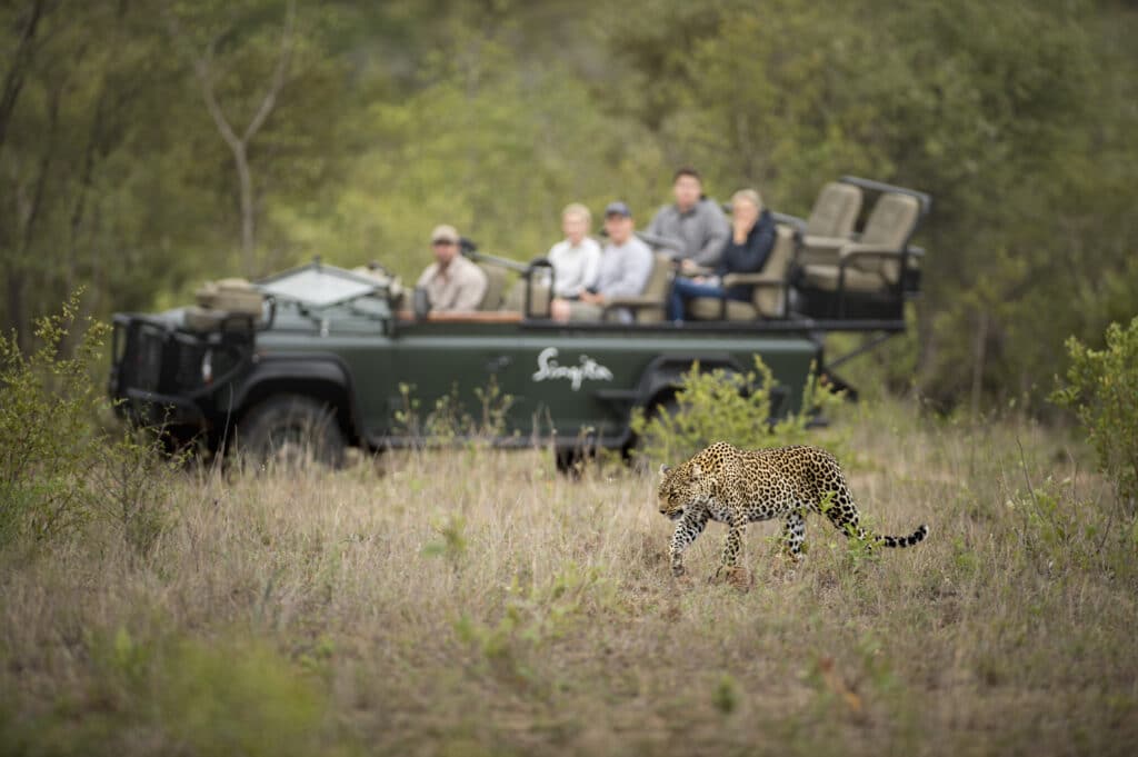 Southern Africa’s best photographic safari destinations