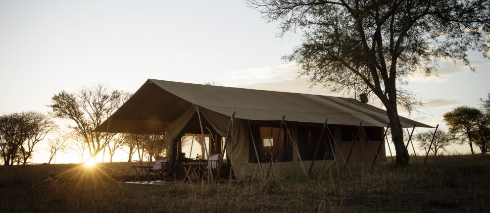 A rough guide to mobile camp resorts