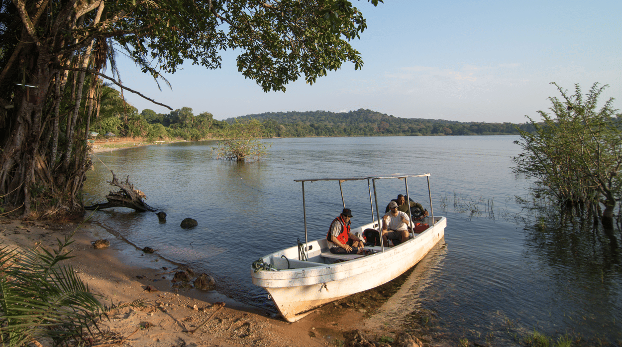 Five things to do in Rubondo Island National Park