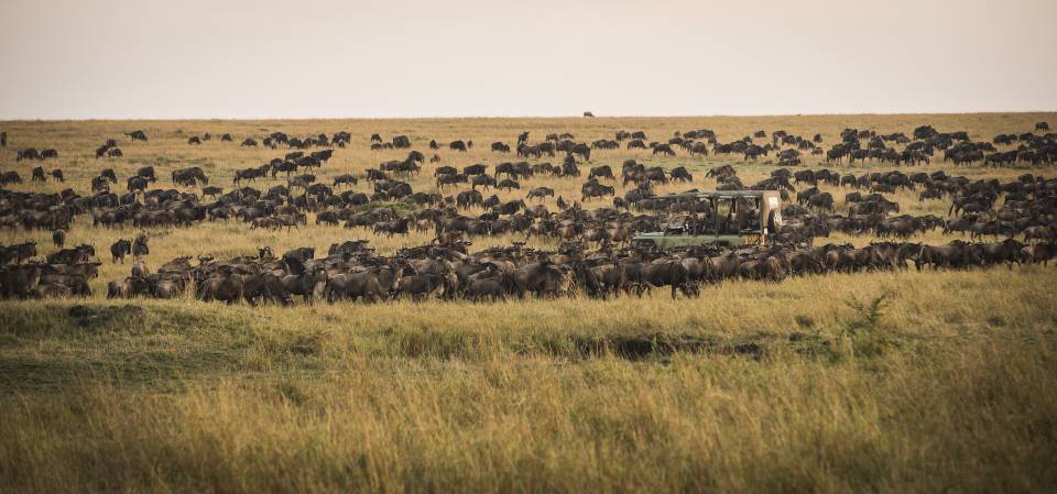 Nine Unforgettable camps to see the Big Five in Tanzania