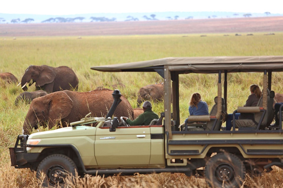 Nine Unforgettable camps to see the Big Five in Tanzania