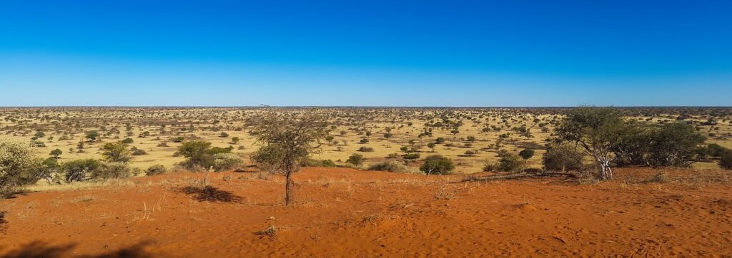 Kalahari landscape in Botswana.