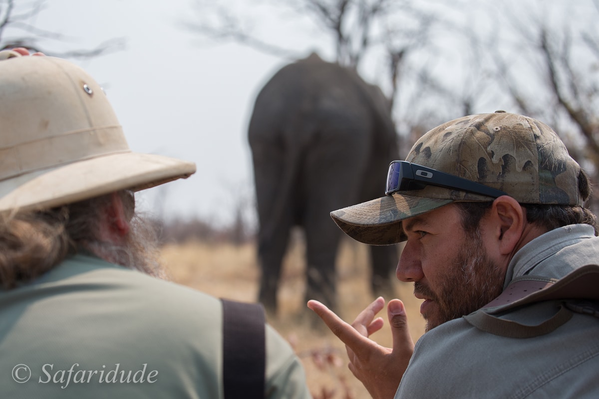 Julian Brookstein, Professional Guide / Safari Camp Manager at Camp Hwange