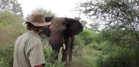 Safari guide of the month: Craig McFarlane