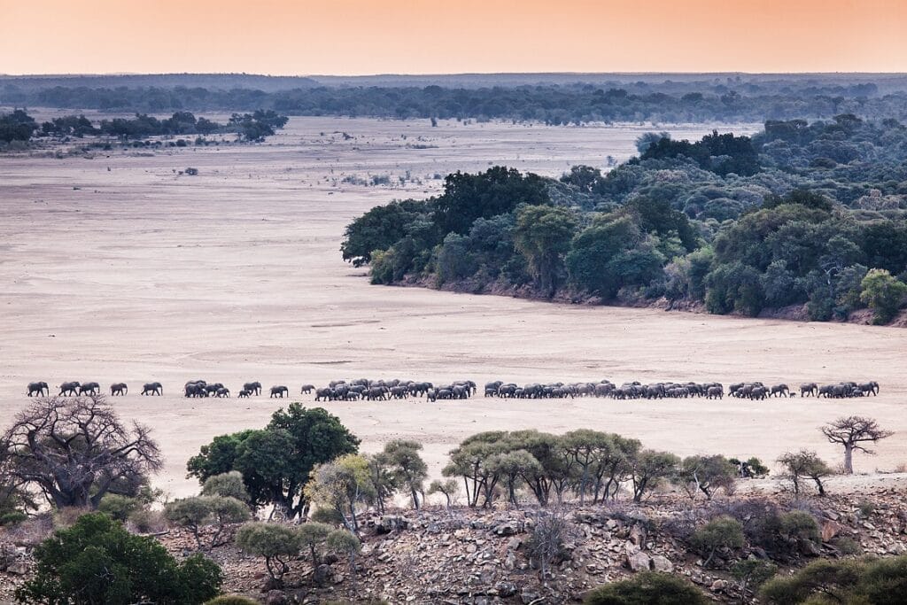 Mapungubwe National Park