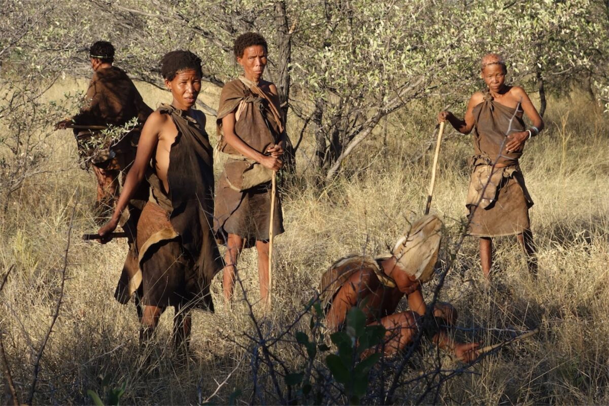 Exploring the Rich Cultural Heritage of Botswana's Indigenous Tribes ...