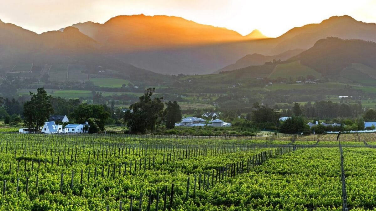 Stellenbosch and the Winelands | Discover Africa Safaris