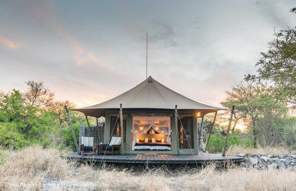 A Luxury Namibia Safari | Discover Africa Safaris