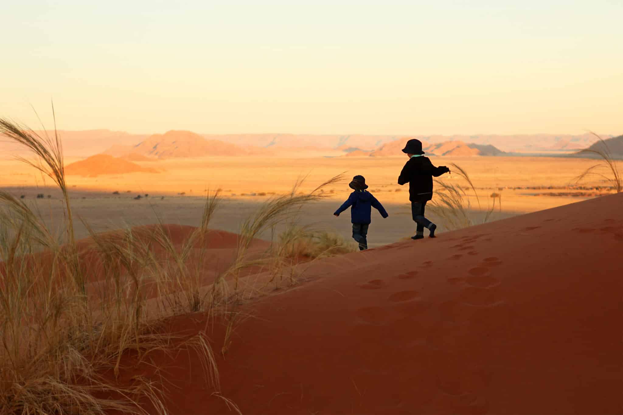 family safari holidays namibia