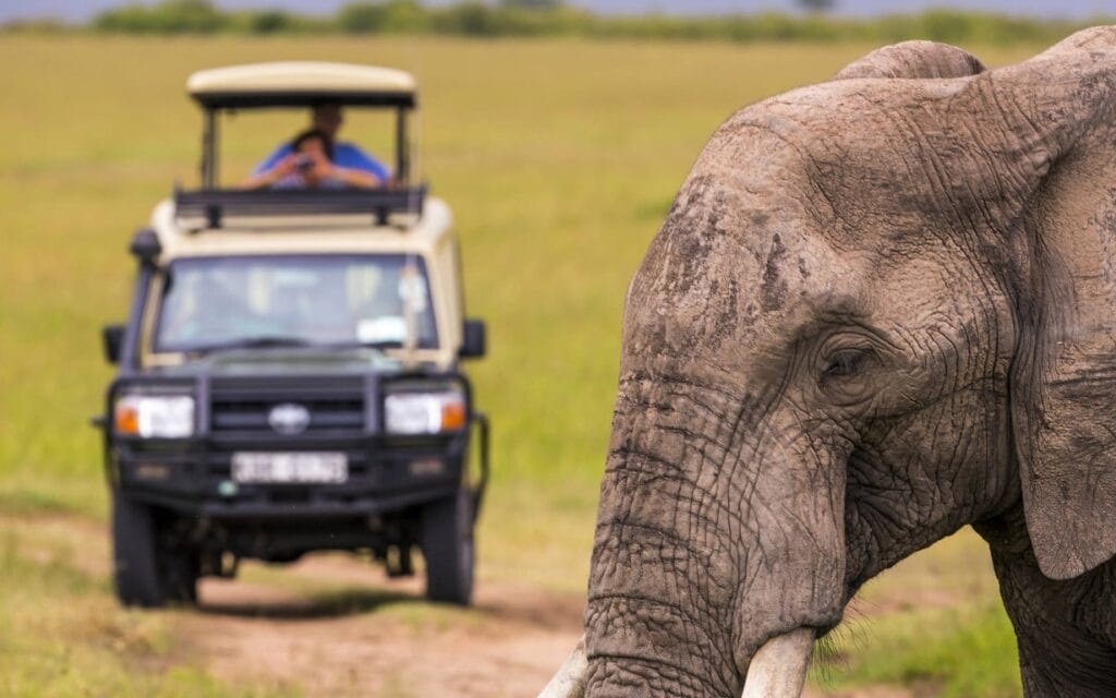 Safari in Masai Mara, Kenya | Photo: 1001slide via Getty