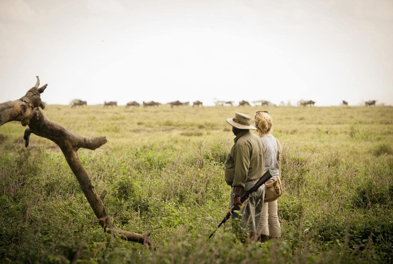 Lodge Of The Month (June 2018): Namiri Plains Camp