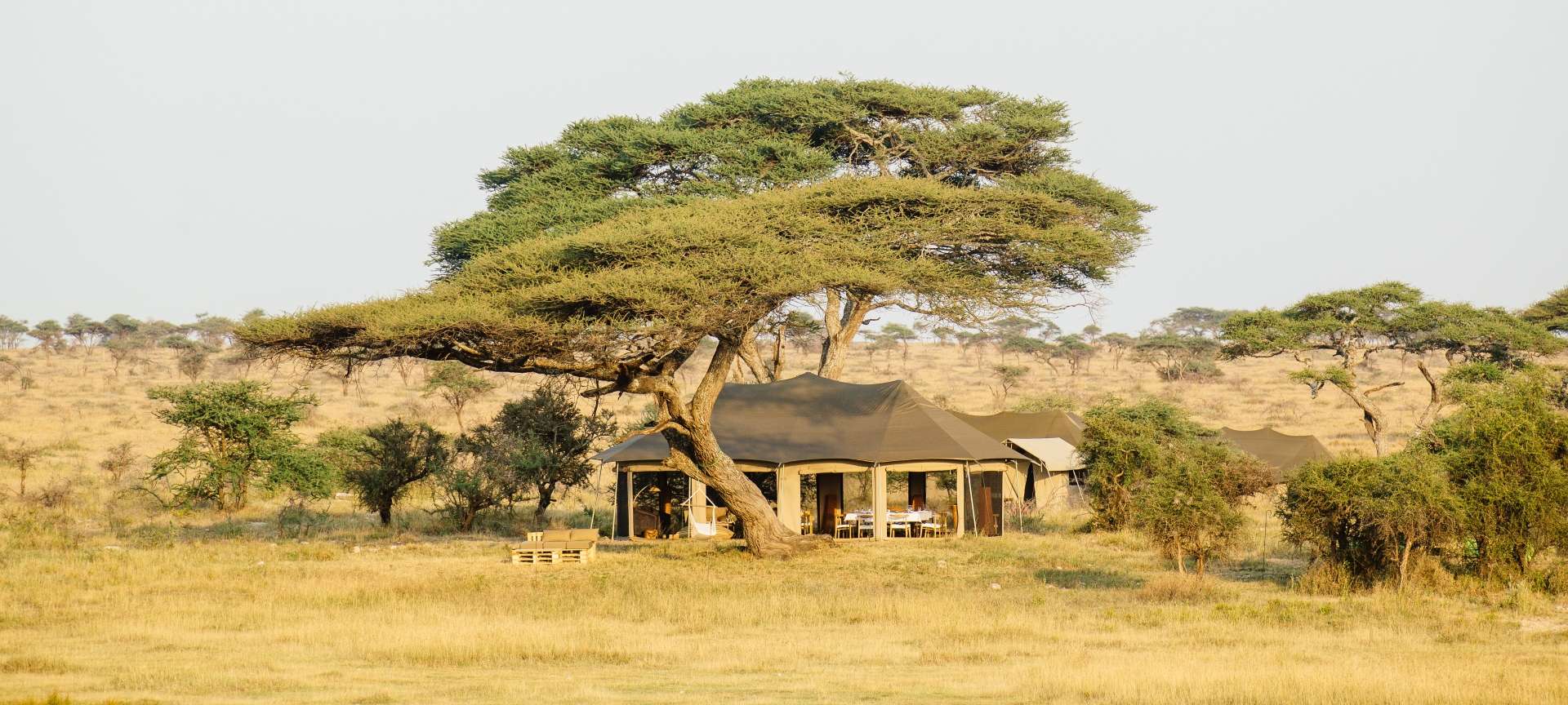 Lodge Of The Month (June 2018): Namiri Plains Camp