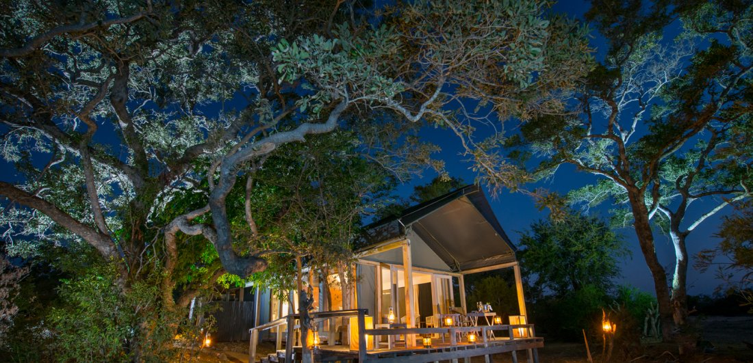 Three of the best family-friendly safari lodges in Timbavati