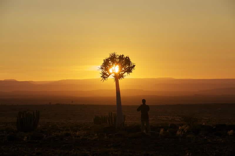 fish-river-lodge-namibia-safari-quiver-tree