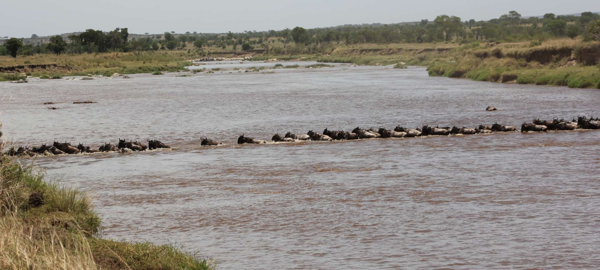 Lodge of The Month [August] | Lemala Mara Tented Camp