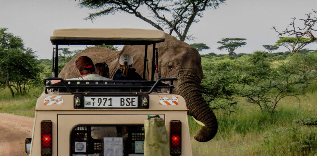 Game Drive in Ngorongoro Crater, Tanzania | Photo credit: Lemala Ngorongoro