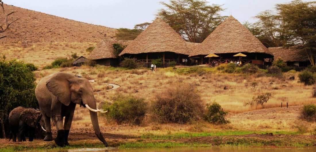 tortilis lodge amboseli national park luxury safari in kenya