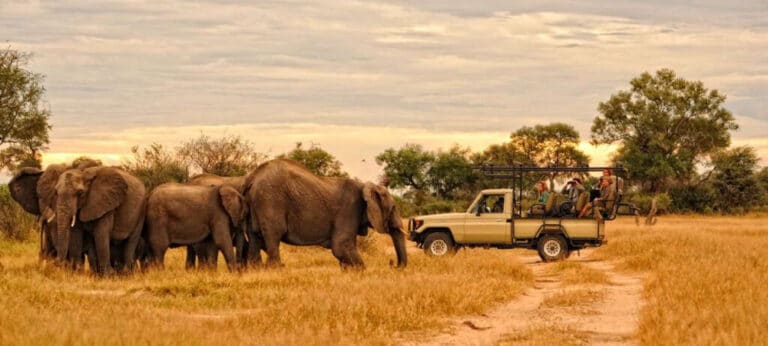 zimbabwe vs south africa safari