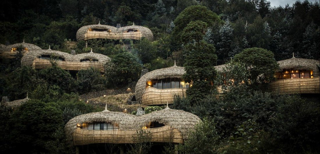 Enchanting lodges for a Mountain gorilla trekking tour in Rwanda