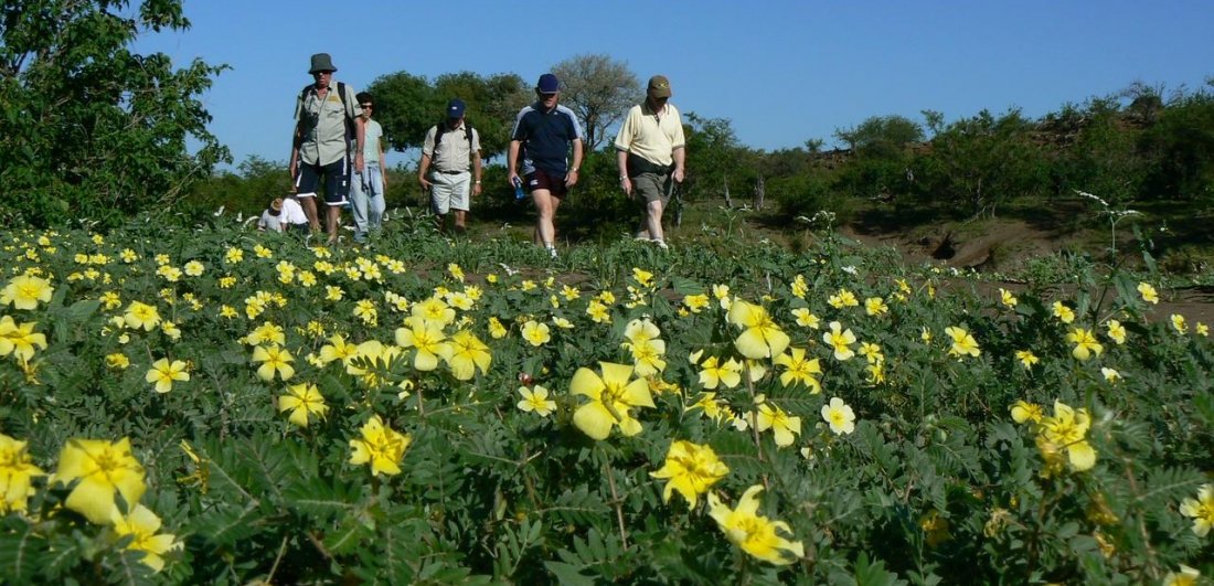 A short guide to Mashatu Game Reserve