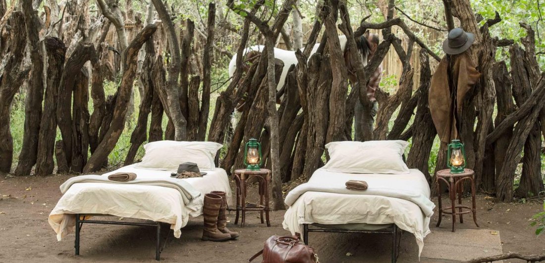 A short guide to Mashatu Game Reserve