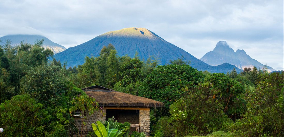 Enchanting lodges for a Mountain gorilla trekking tour in Rwanda