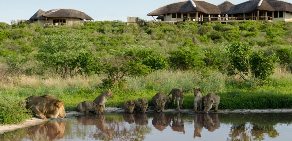 Tau Pan Camp in Botswana | Photo credits: Tau Pan Camp