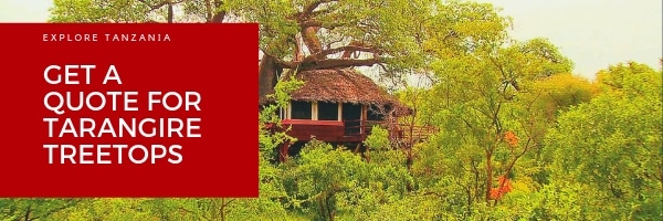 Explore Elewana Collection’s Tarangire Treetops