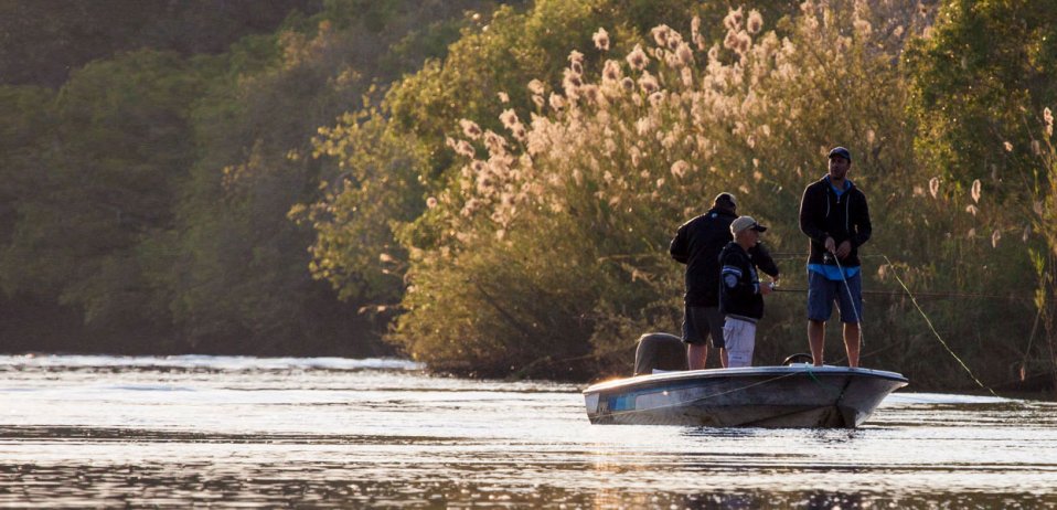 chobe fishing safaris