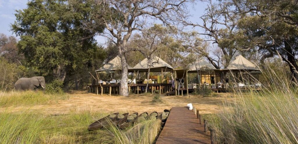 okavango tours and safaris uk