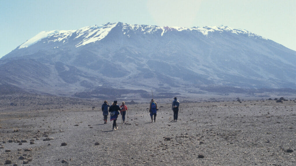 Climbing the alpine zone of Mount Kilimanjaro