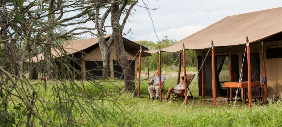 Five Best Masai Mara Safari Tours | Discover Africa Safaris