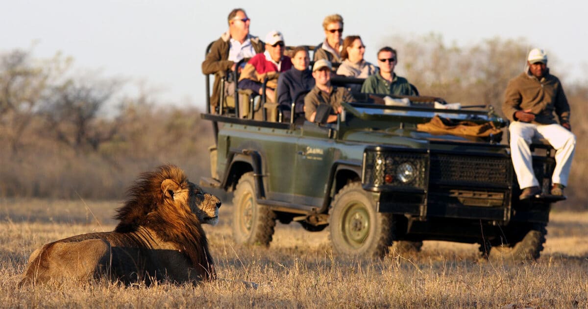 kruger national park cost of safari