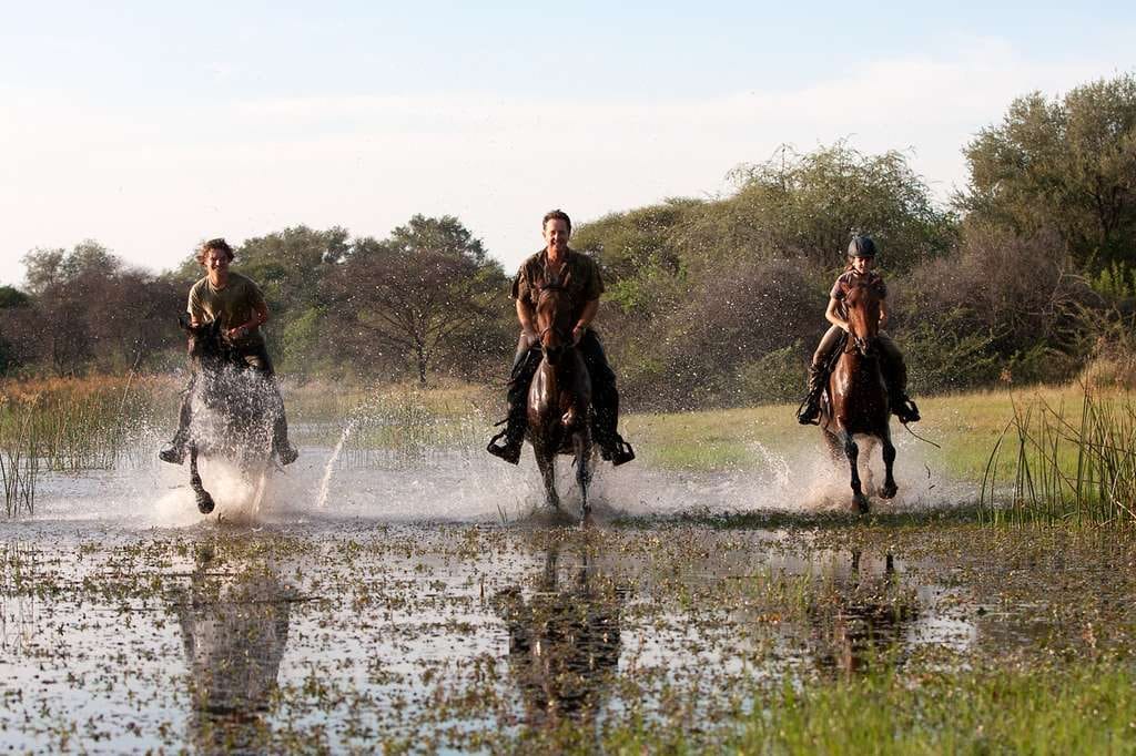 Can You Experience The Okavango Delta And The Vic Falls In One Trip