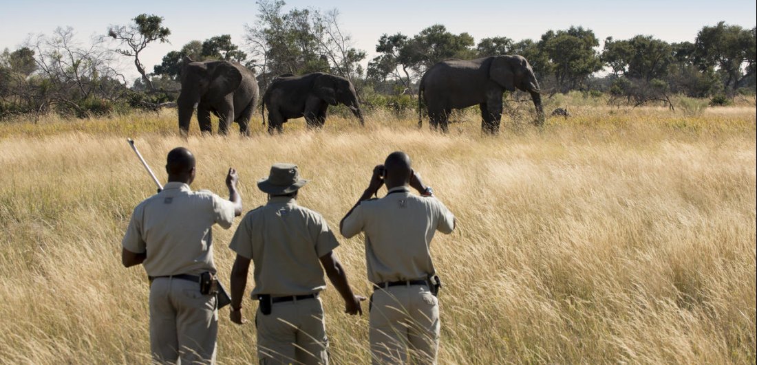 Five Things That Make the Okavango Delta a Must Visit