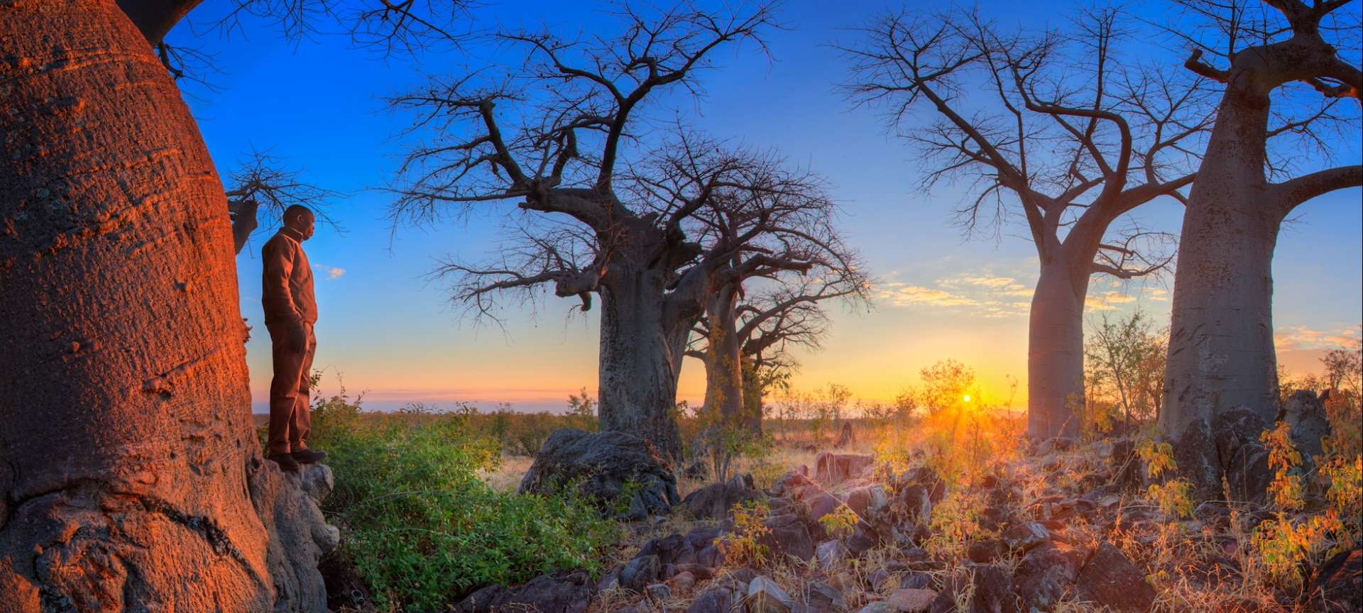 Safari in Botswana