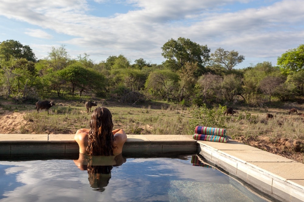 The Perfect Kruger Safari